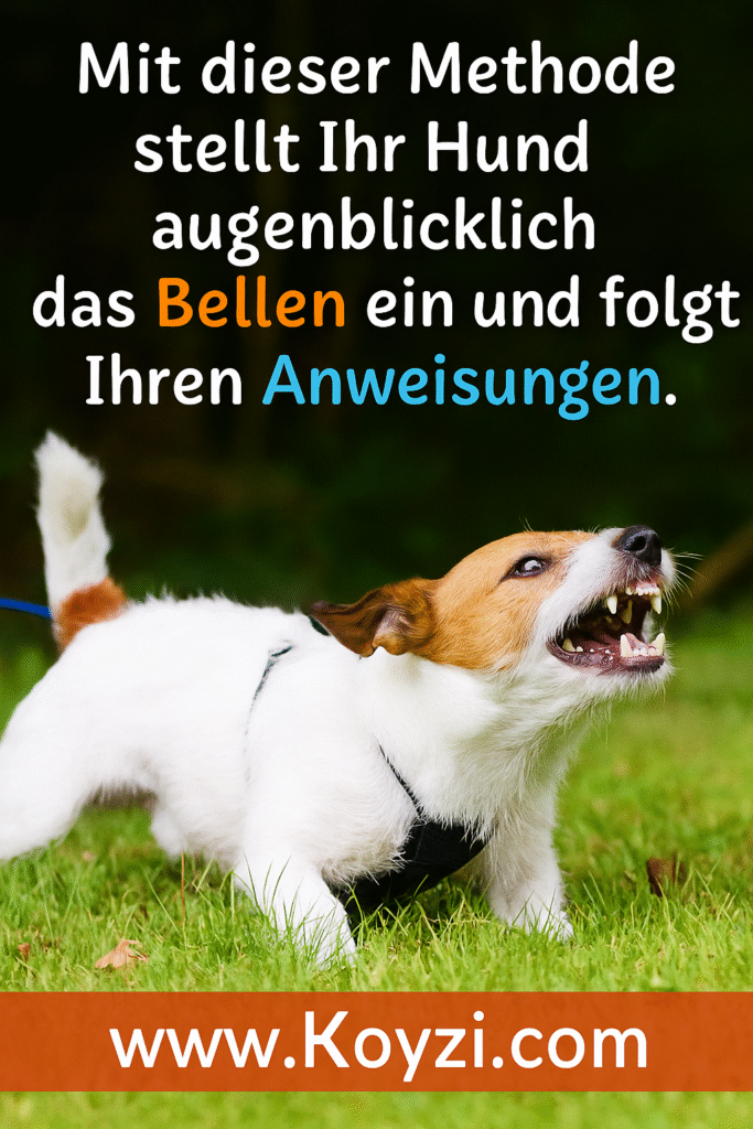 🐾 wie bringt man einen hund zum schweigen – Omas Geheimmethode